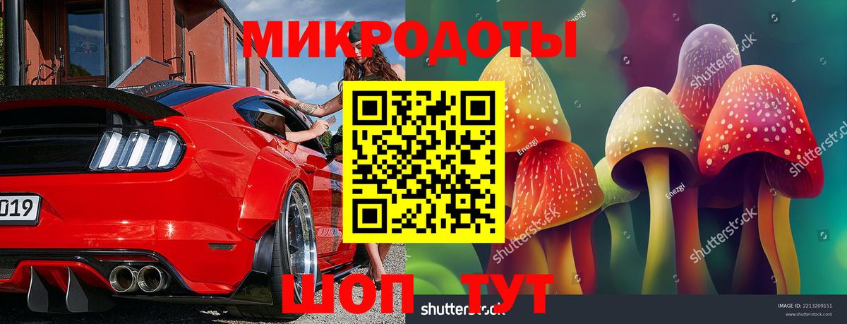 Псилоцибиновые грибы прущие грибы Магнитогорск